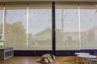 What Blinds Allow Light But Provide Privacy?
