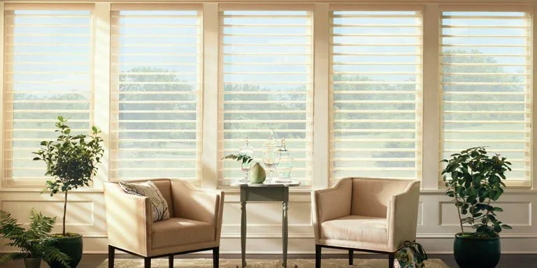 What Blinds Let in Lots of Light?
