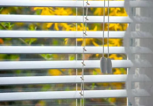 Light & Privacy: What Blinds Let in Lots of Light?
